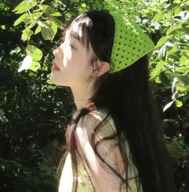 科西嘉的那个夏天
